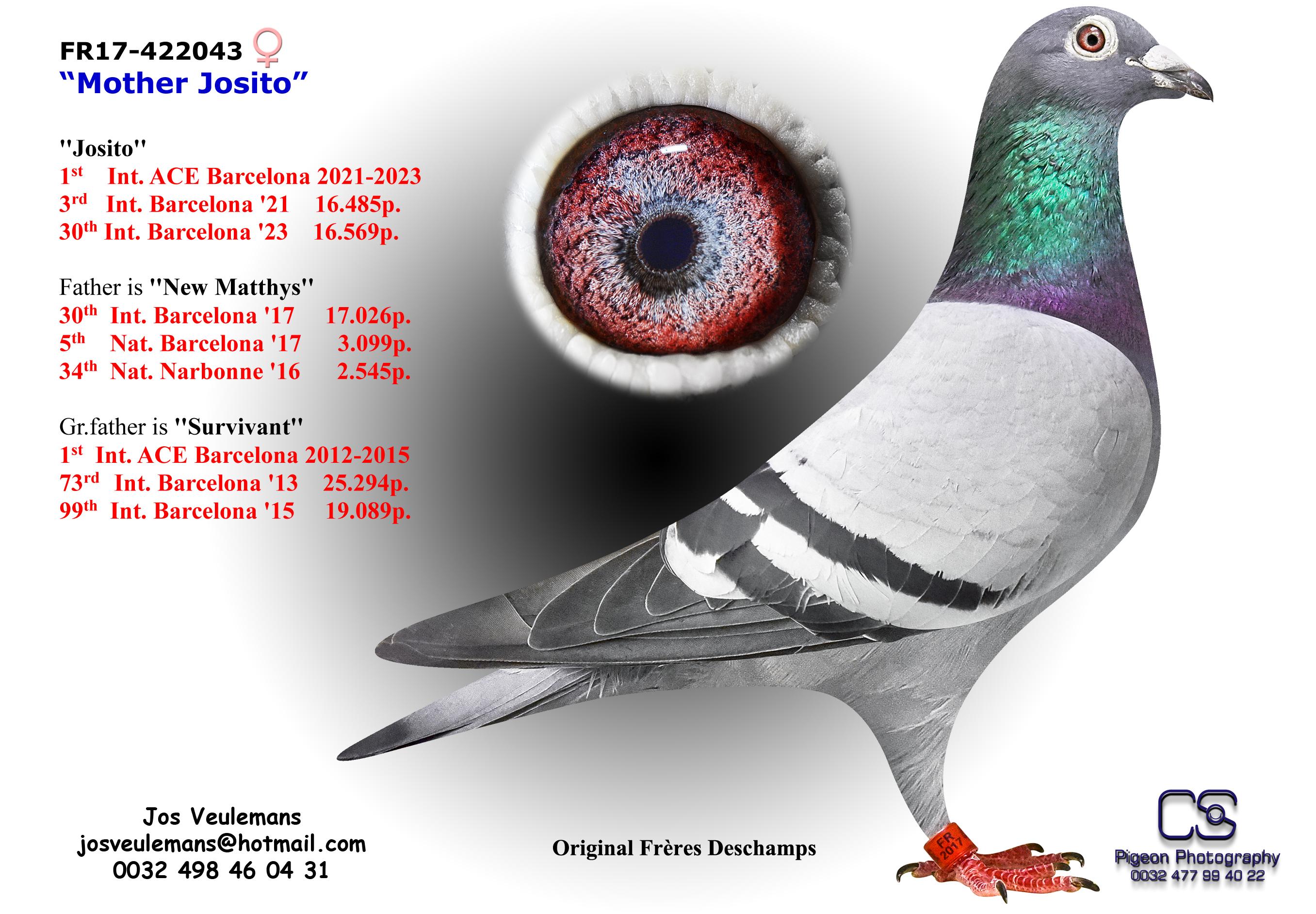 Veulemans Jos FR17-422043