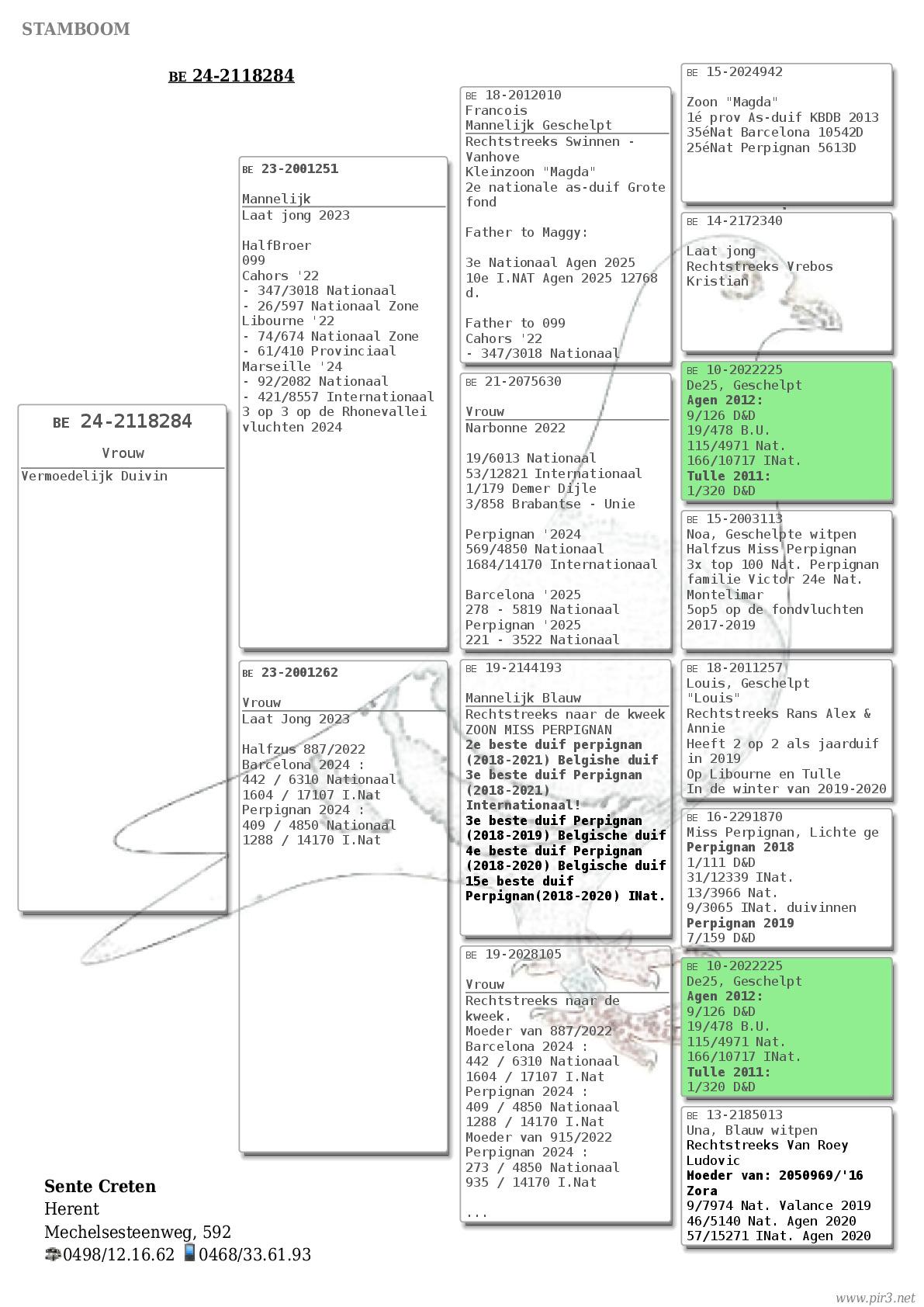 Pedigree Sente-Creten, Herent - duif bij liefhebber