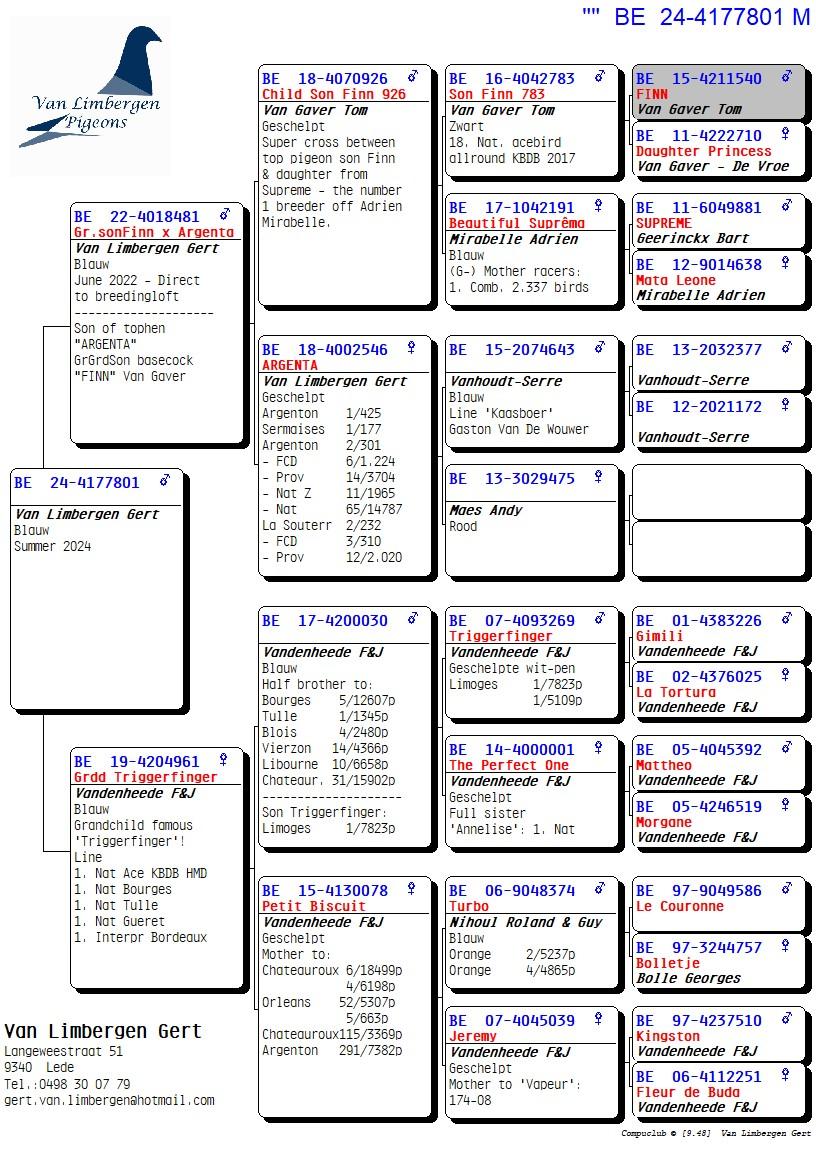 Pedigree Van Limbergen Gert, Lede - duif ter plaatse