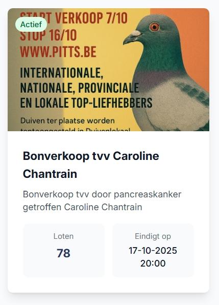 Schermopname_11-10-2025_193758_pitts.be