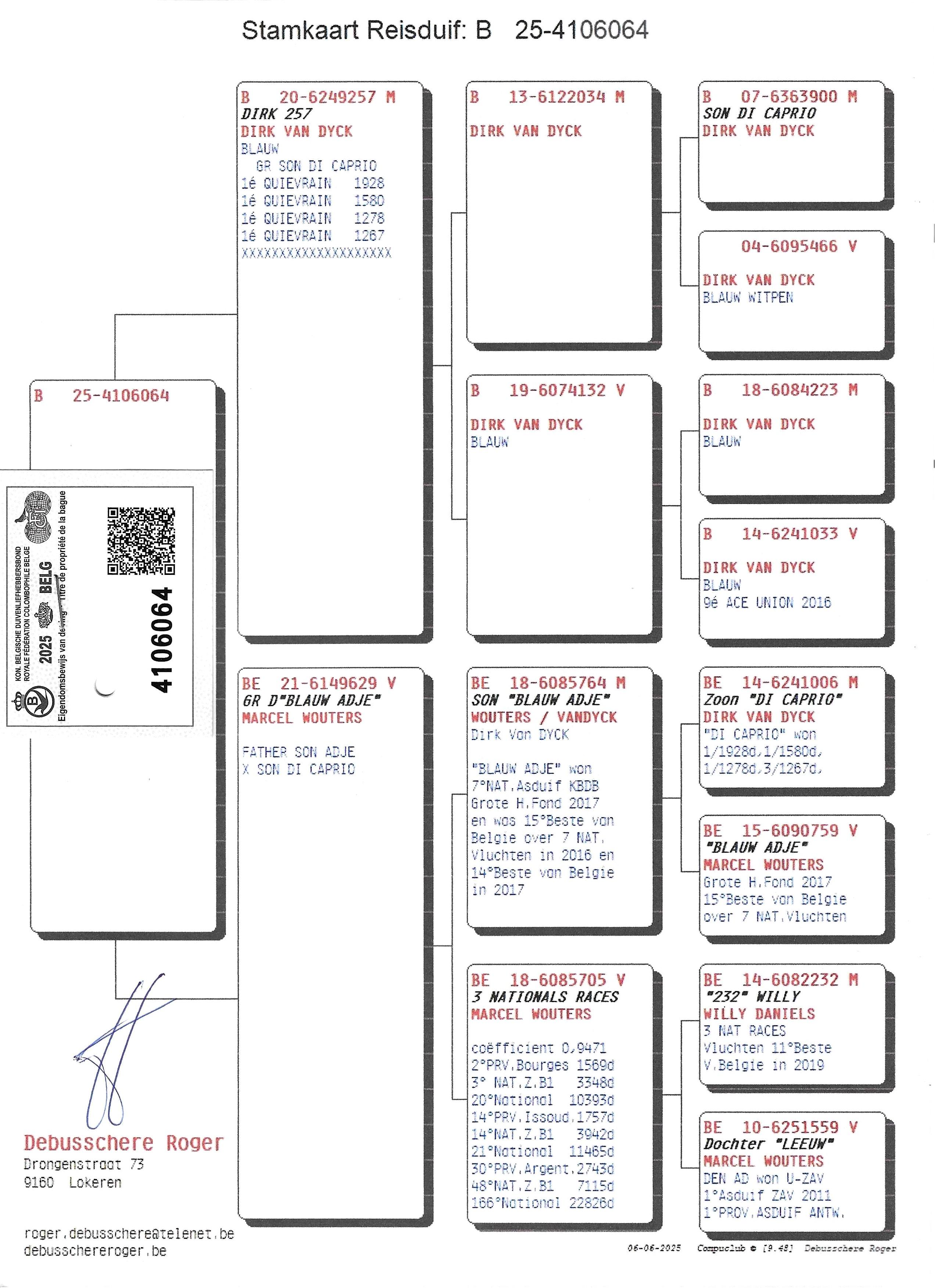 Pedigree Dirk 257 x Kleindochter Blauw Adje