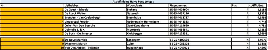 Kampioenschappen 2025 - PE Oost-Vlaanderen Asduif Kleine Hafo Jonge