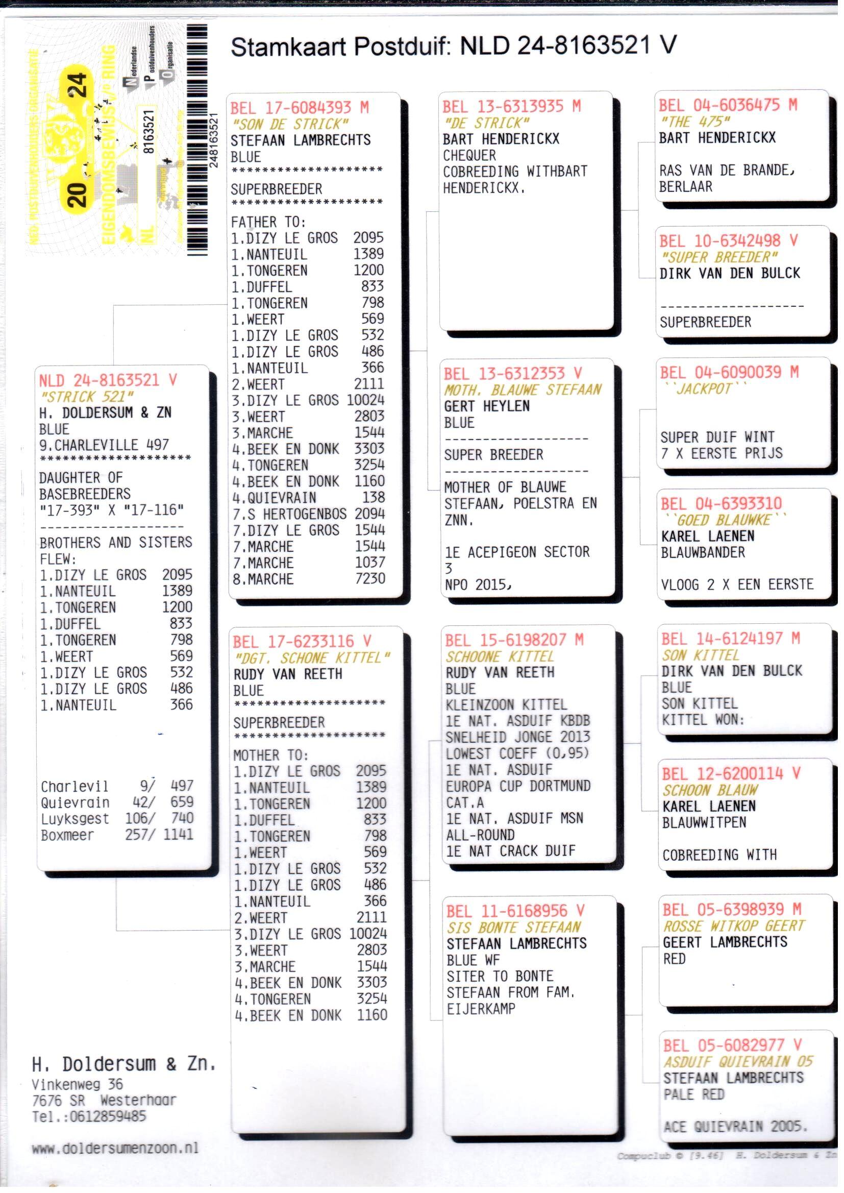 Pedigree Strick 521 