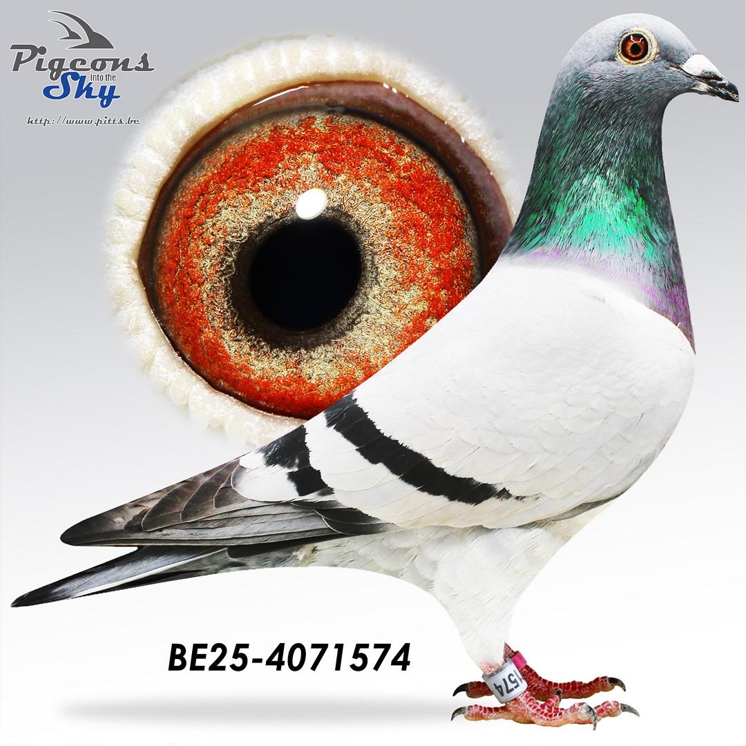 BE25-4071574