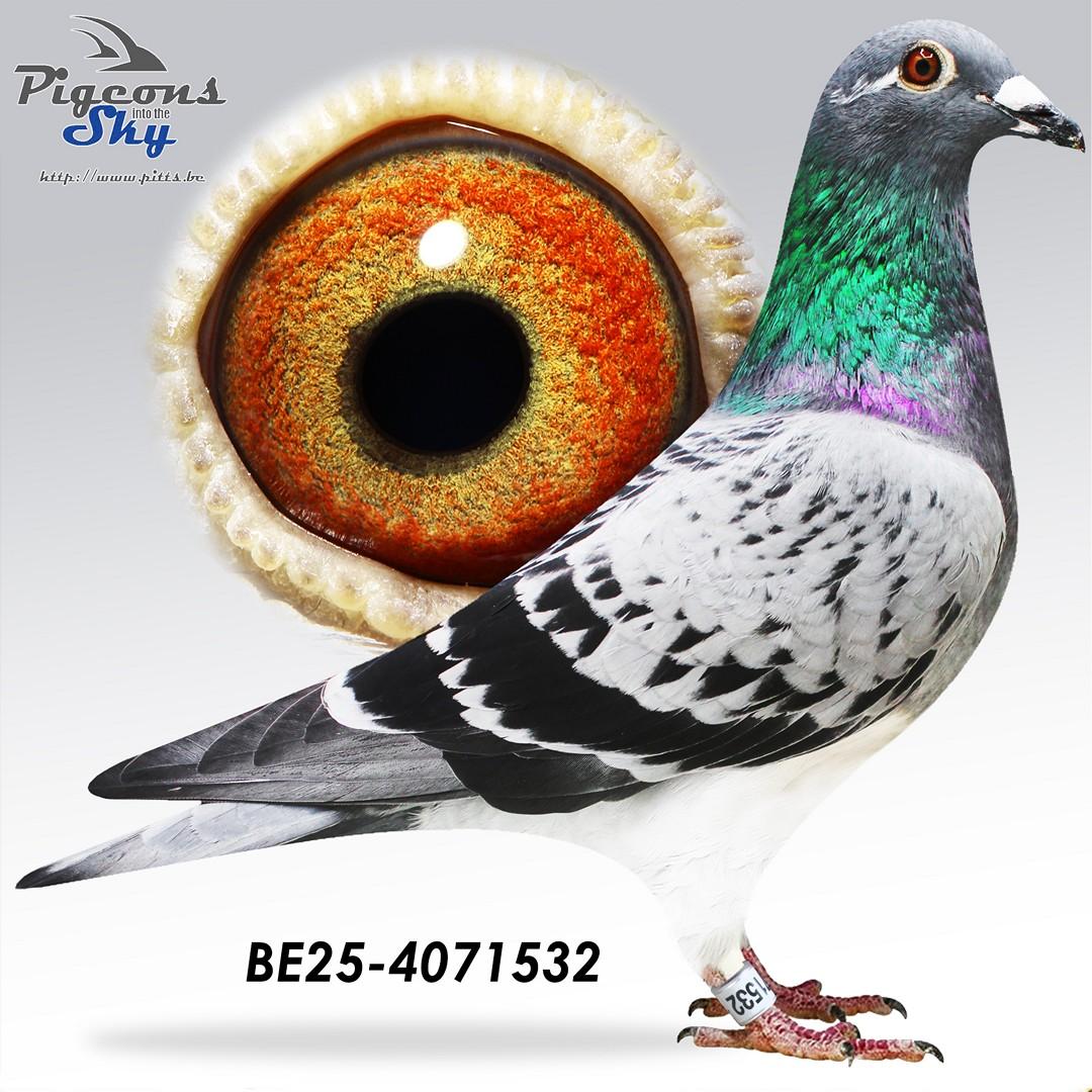 BE25-4071532