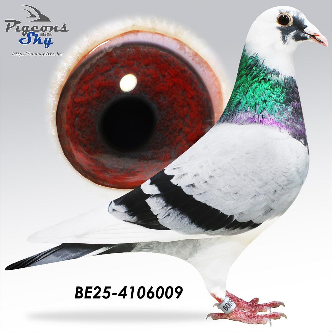 BE25-4106009