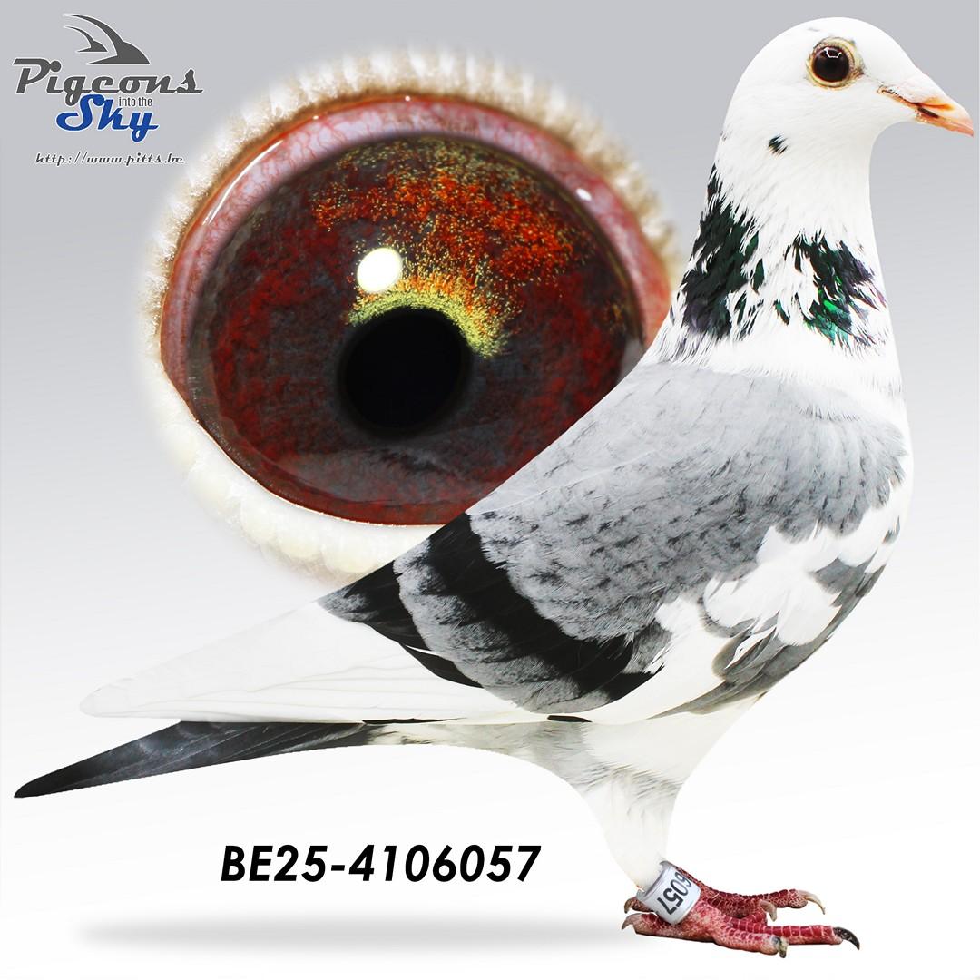 BE25-4106057