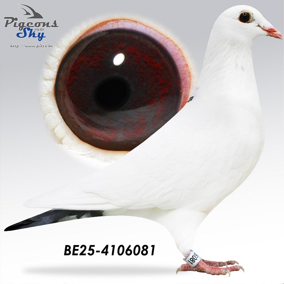 BE25-4106081
