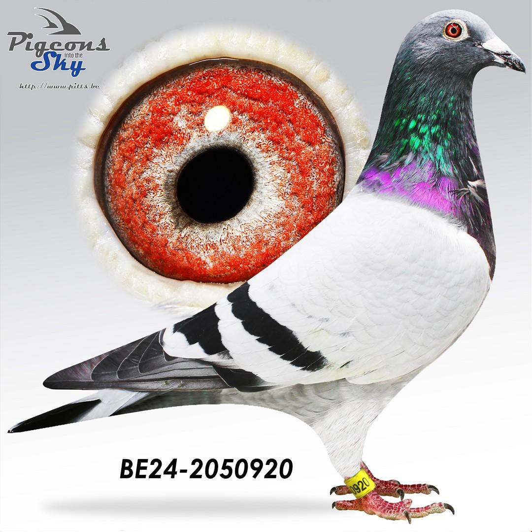 BE24-2050920