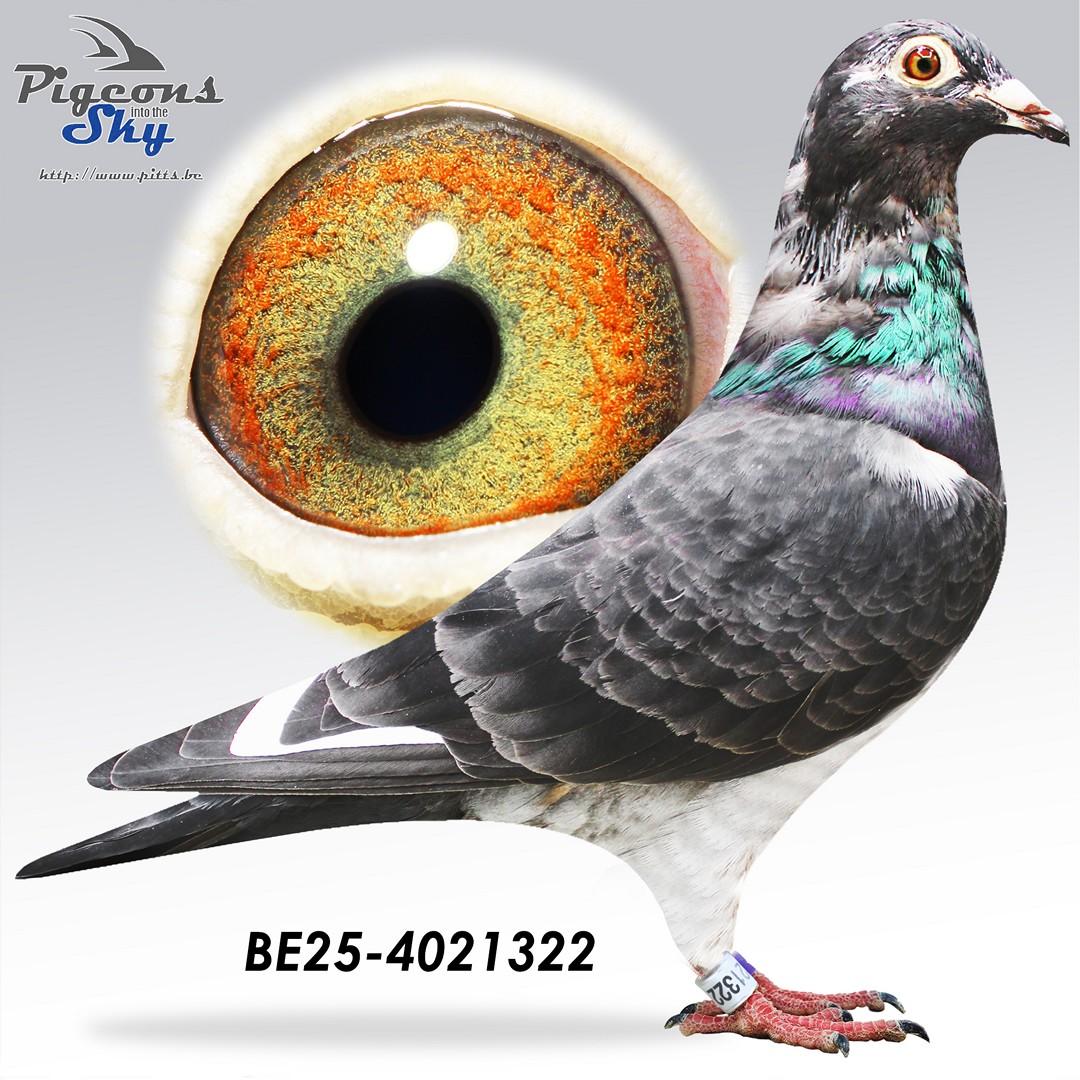 BE25-4021322