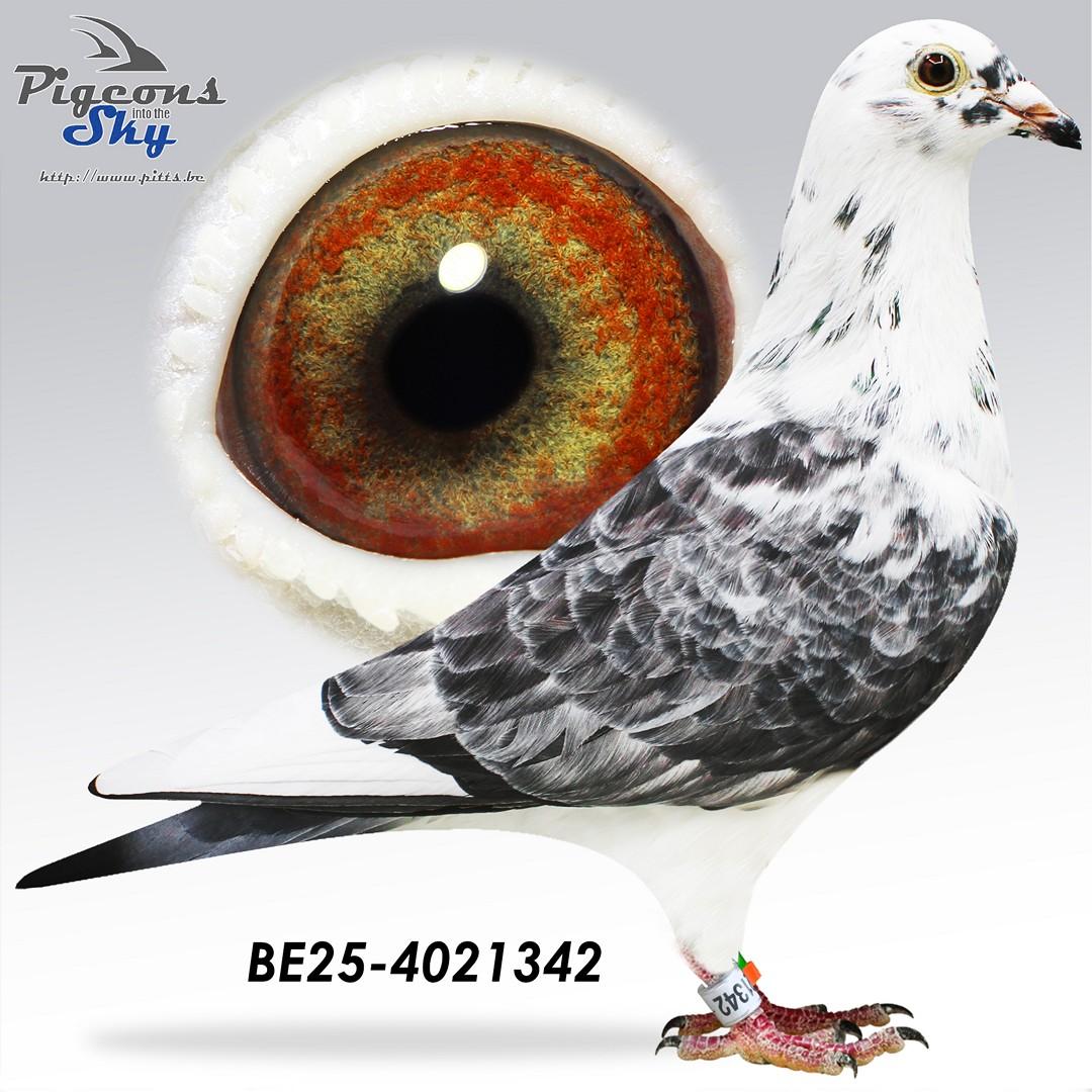 BE25-4021342