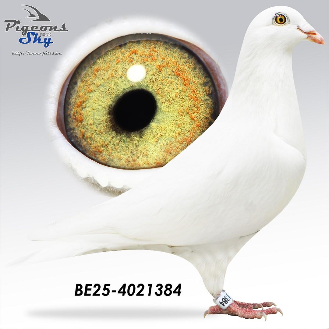 BE25-4021384
