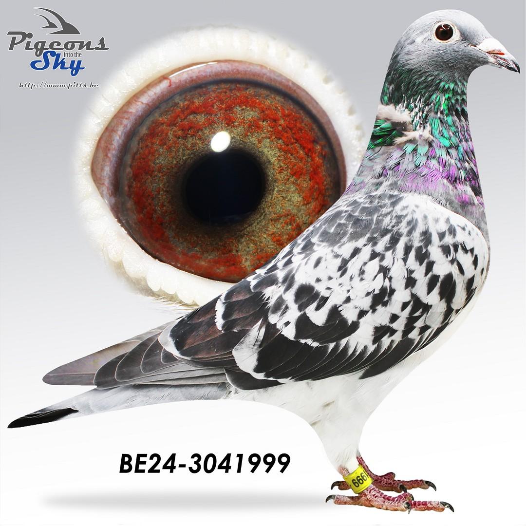 BE24-3041999