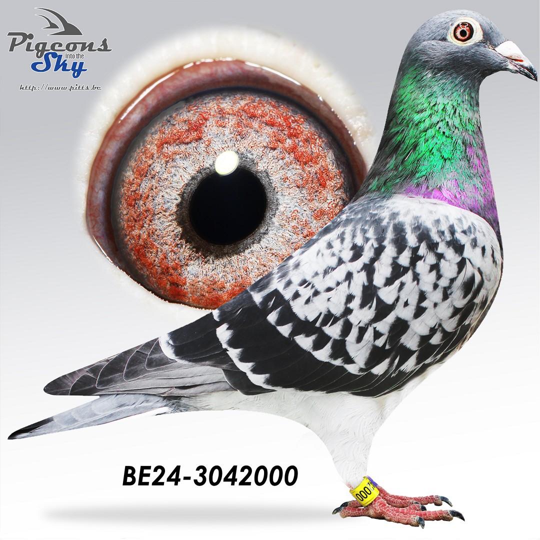 BE24-3042000