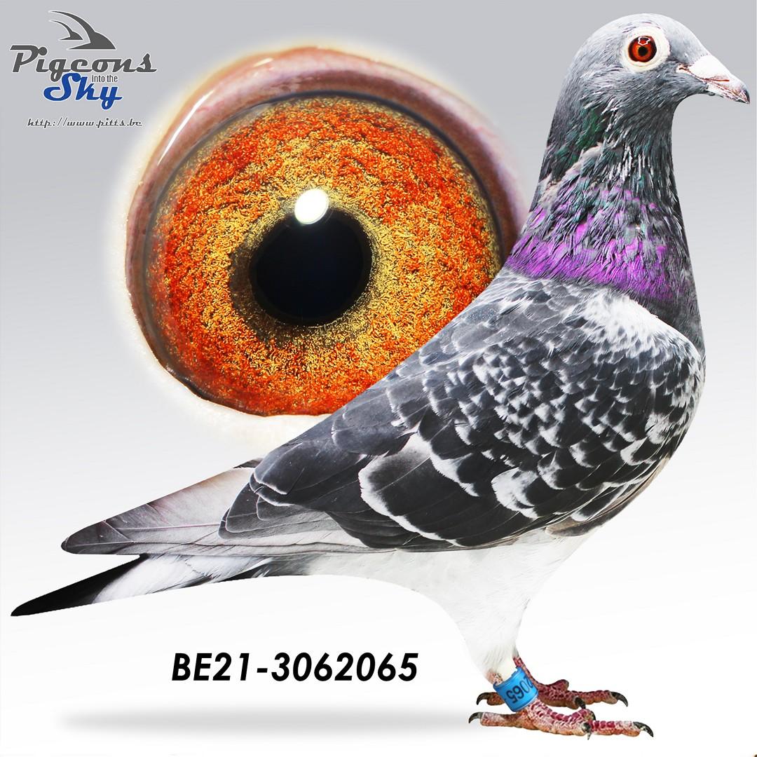BE21-3062065