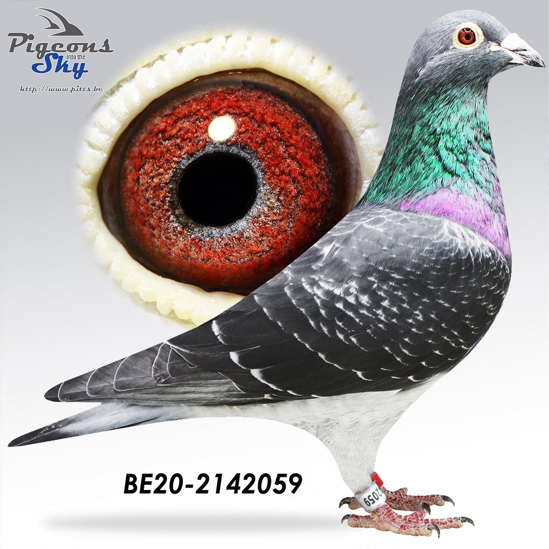 BE20-2142059