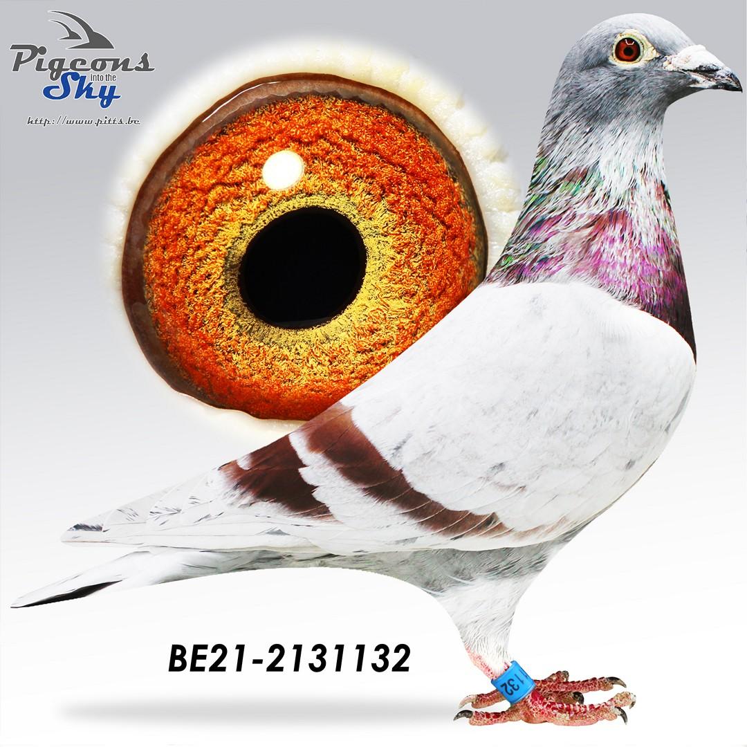 BE21-2131132