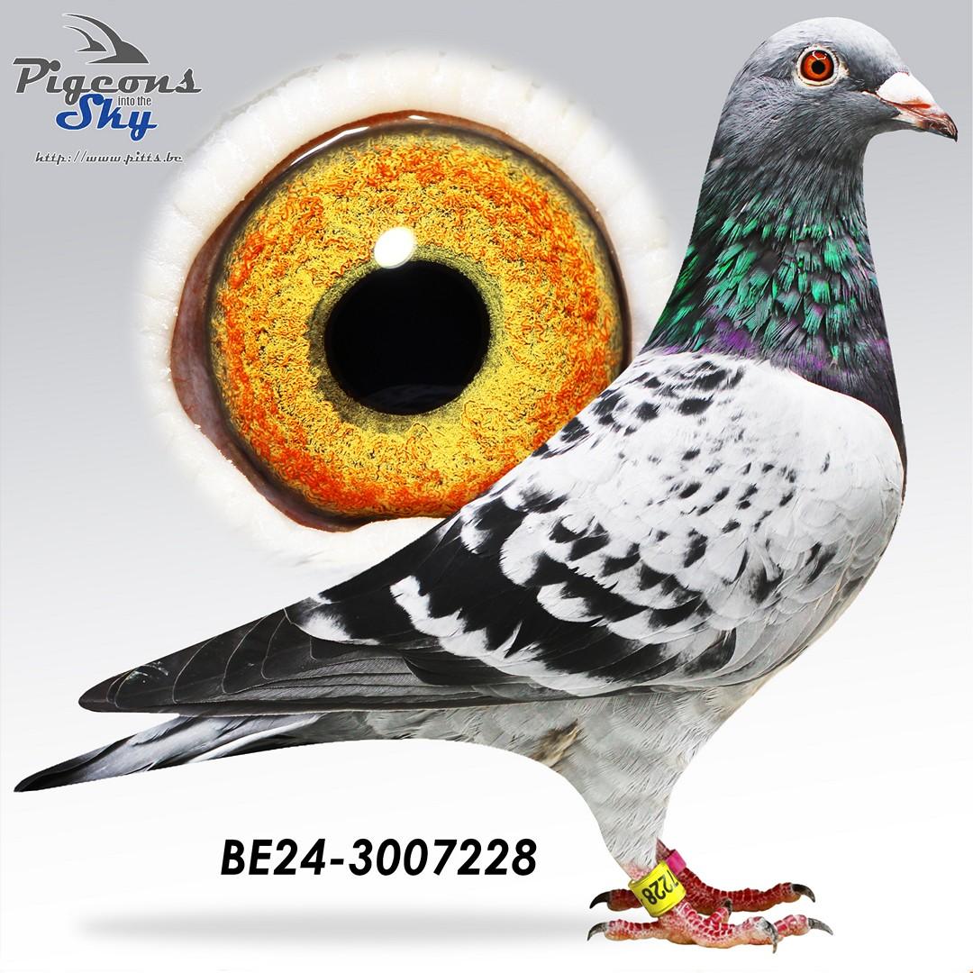 BE24-3007228