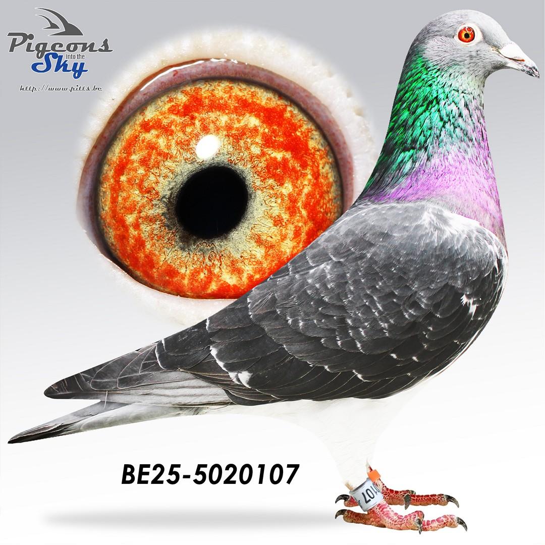 BE25-5020107