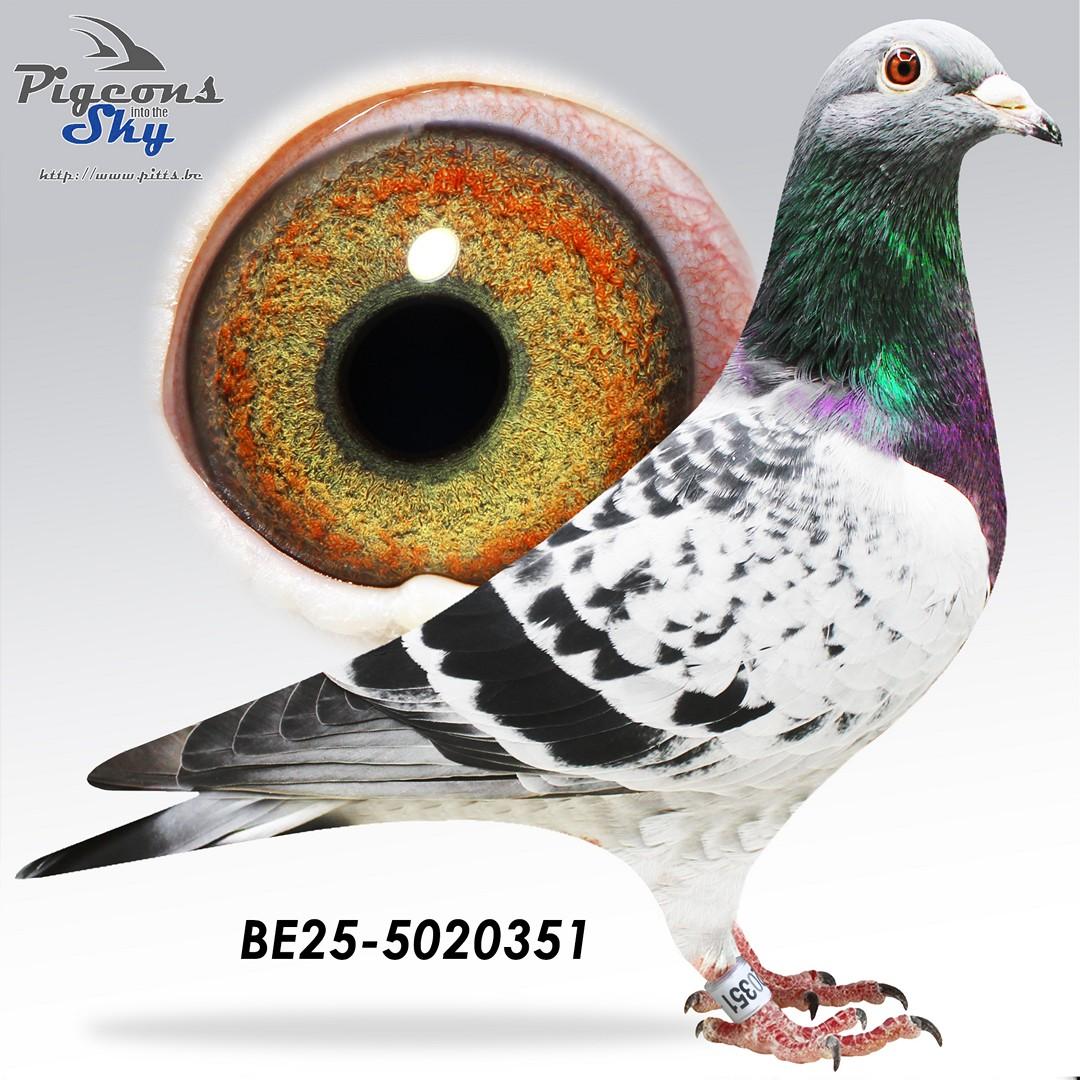 BE25-5020351