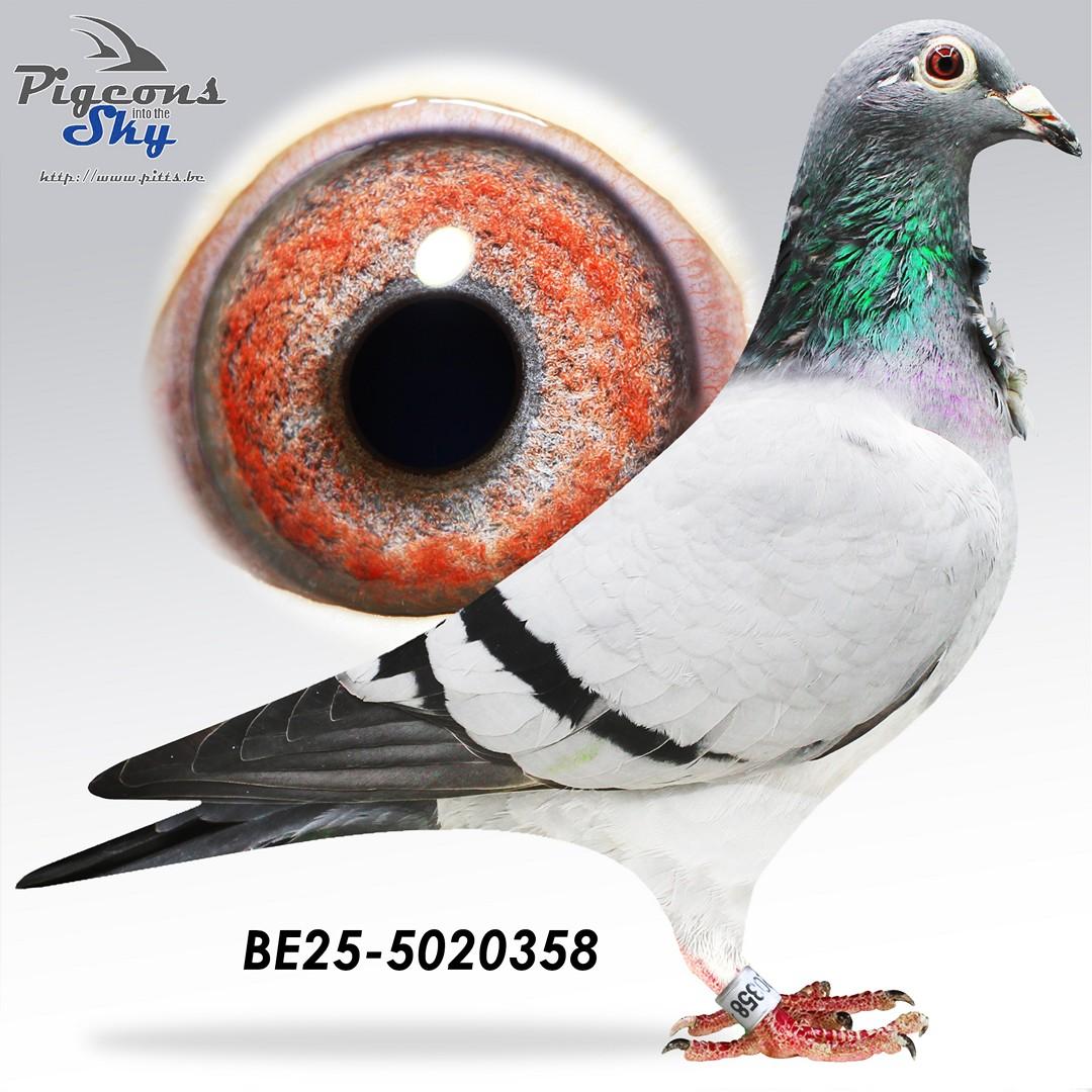 BE25-5020358