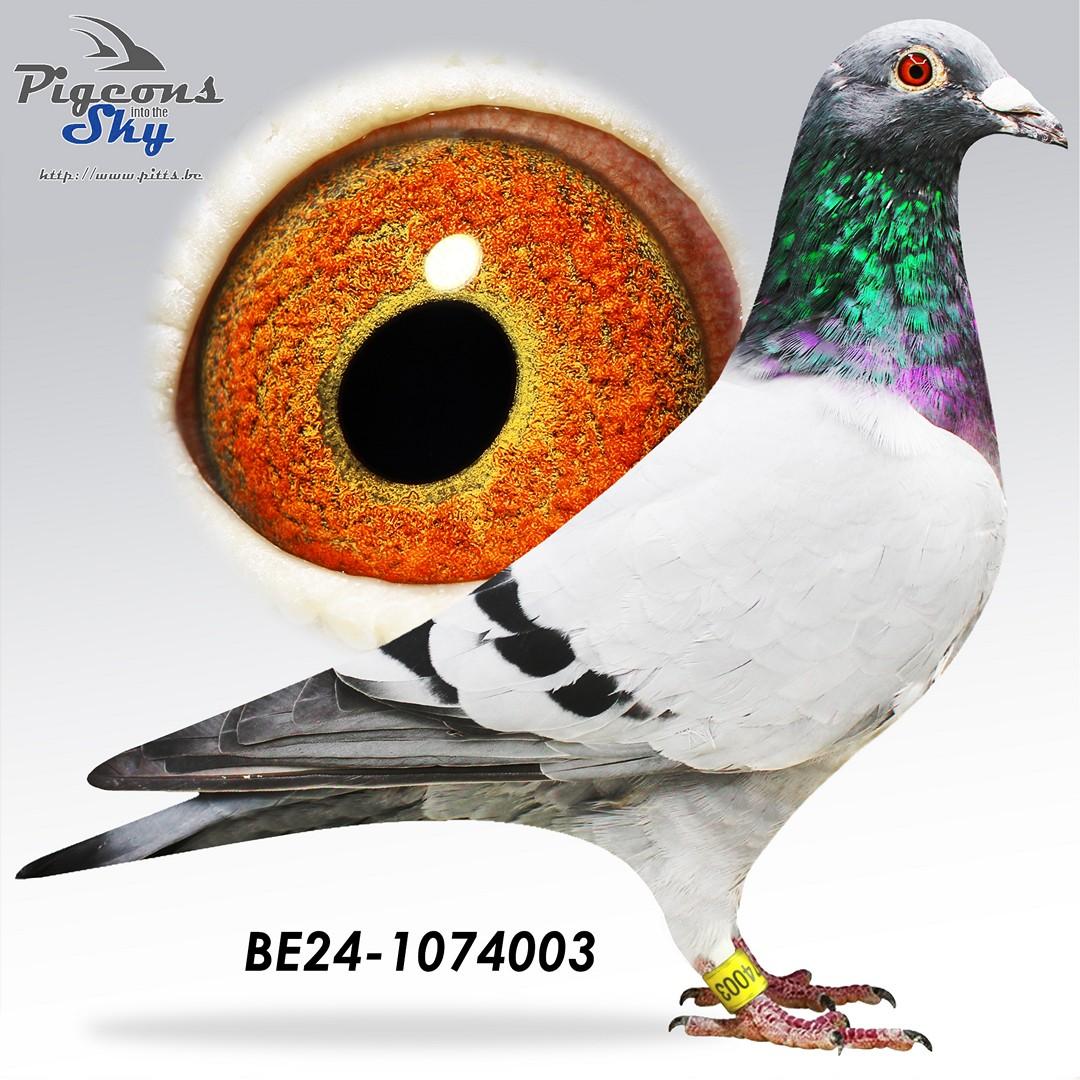 BE24-1074003