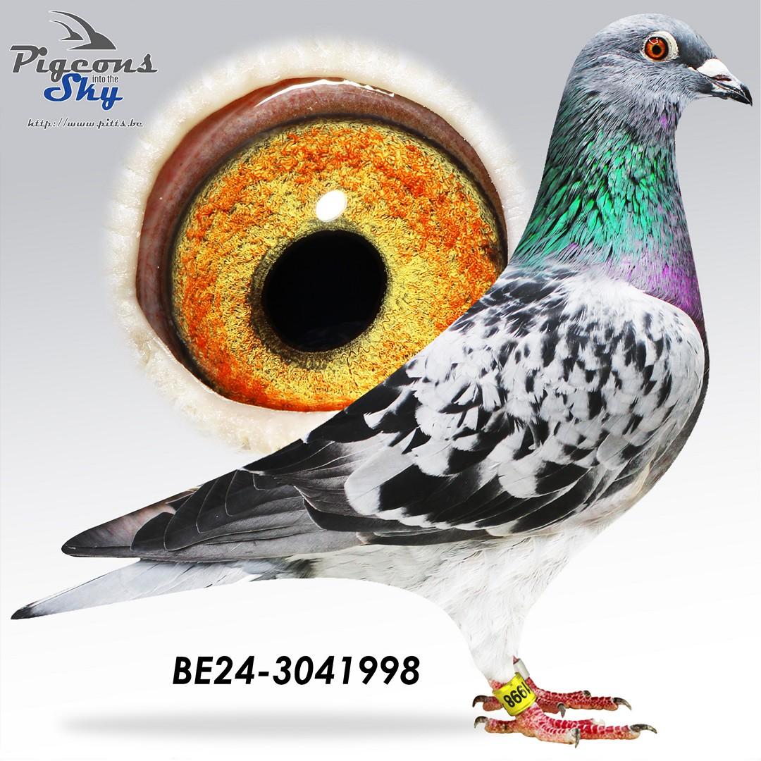 BE24-3041998