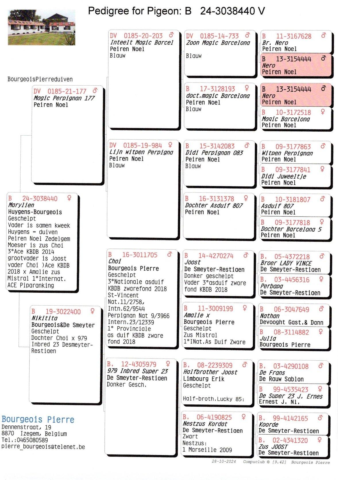 Pedigree Marylien (Samenkweek Huygens-Bourgeois)
