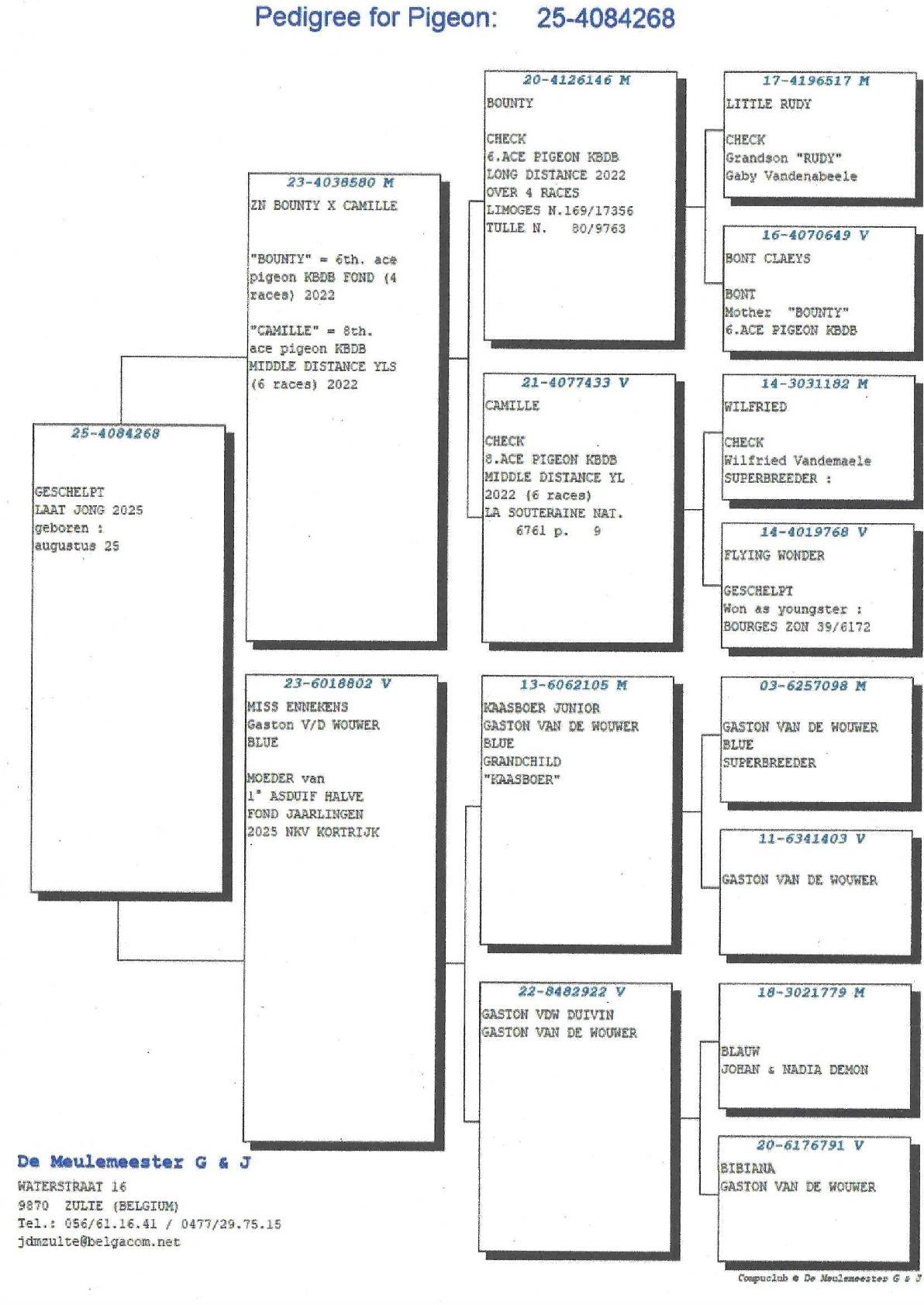 Pedigree De Meulemeester Johan