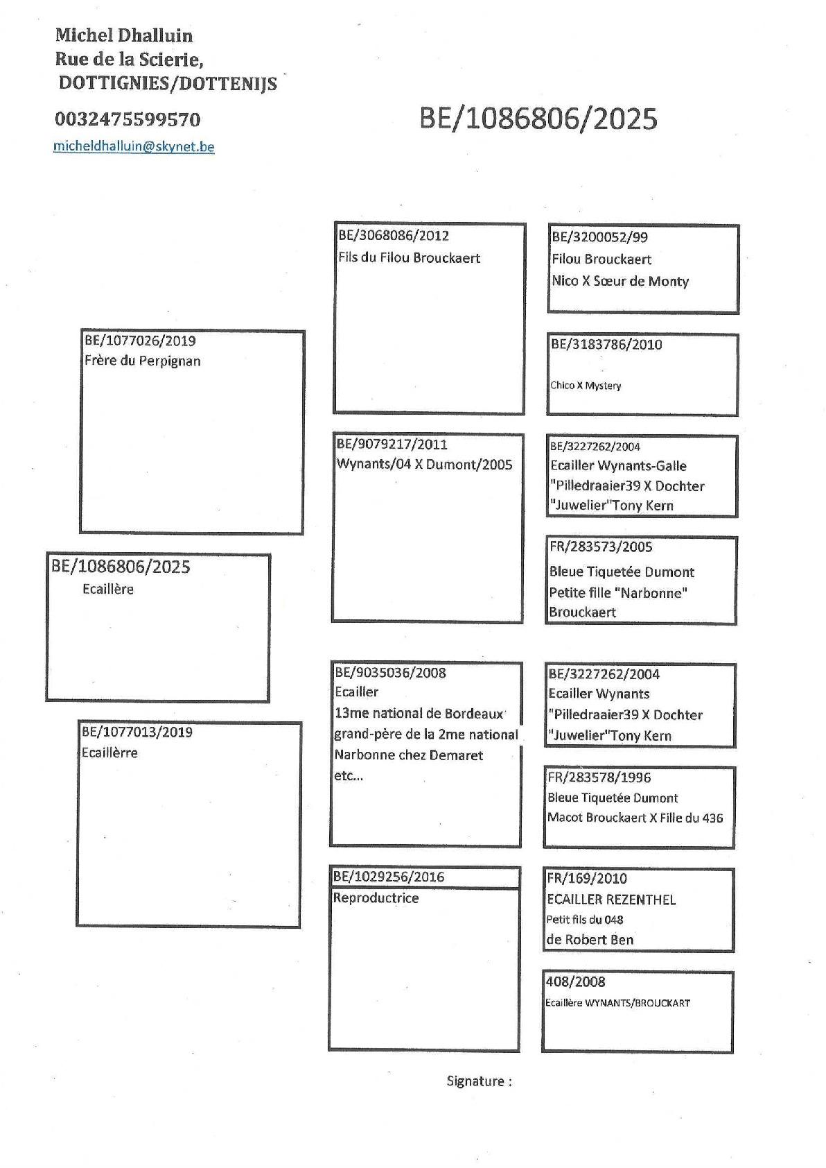 Pedigree D&#039;Halluin Michel