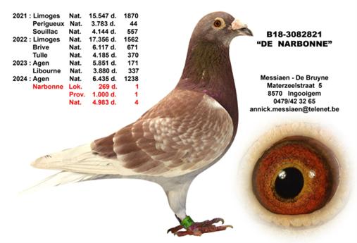 Messiaen debruyne fotot pedigree1