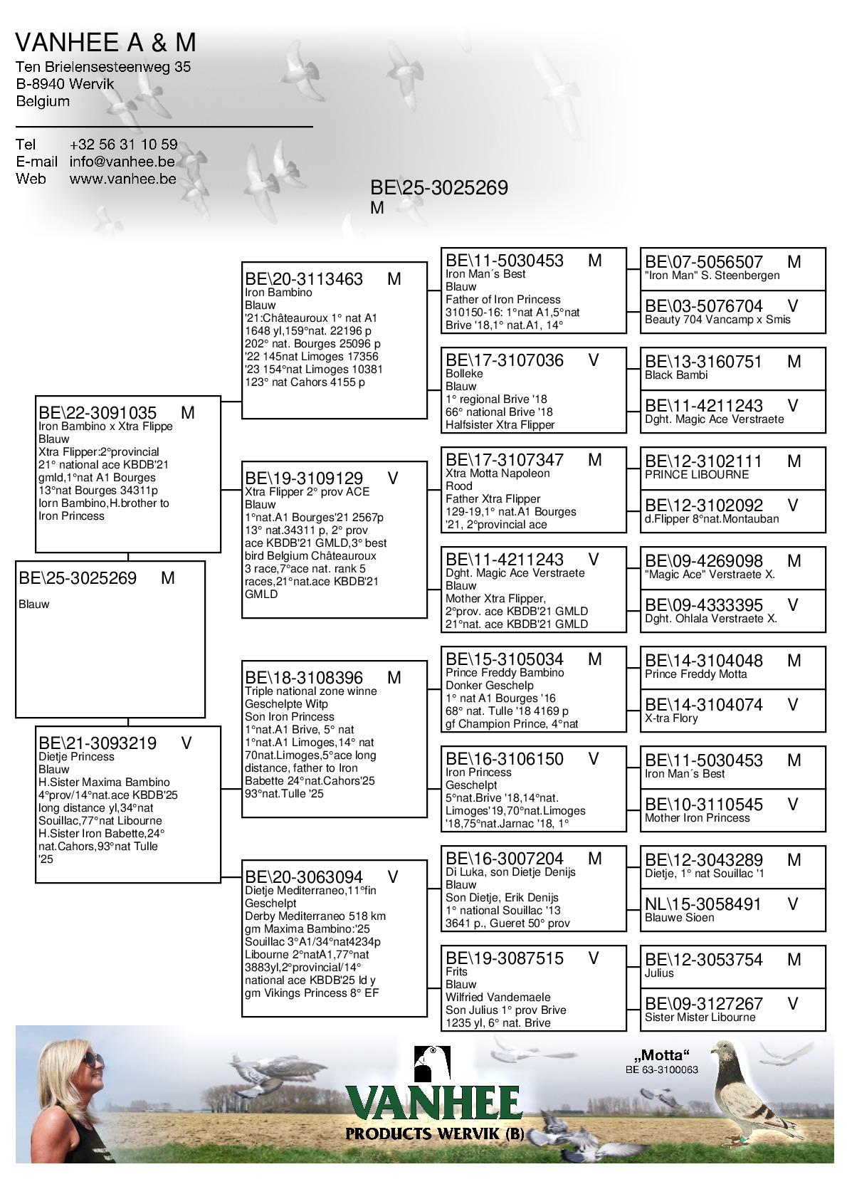Pedigree Vanhee Annemie