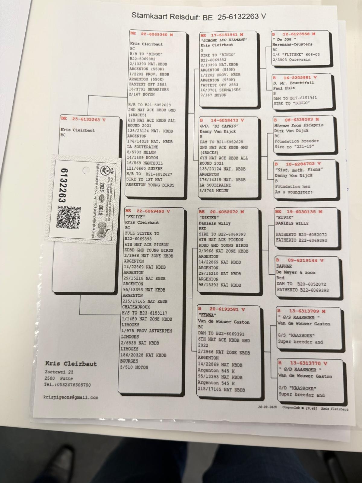 Pedigree CLEIRBAUT KRIS &gt; PUTTE