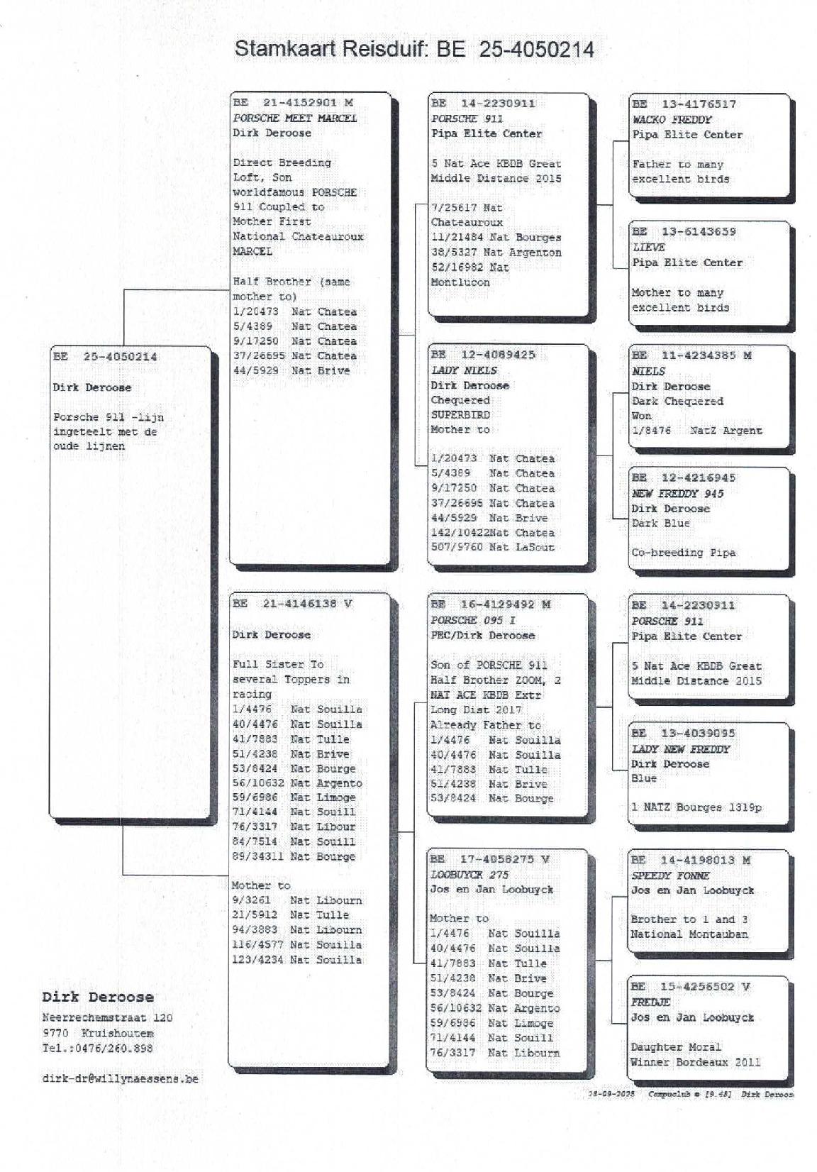 Pedigree DEROOSE DIRK &gt; KRUISEM