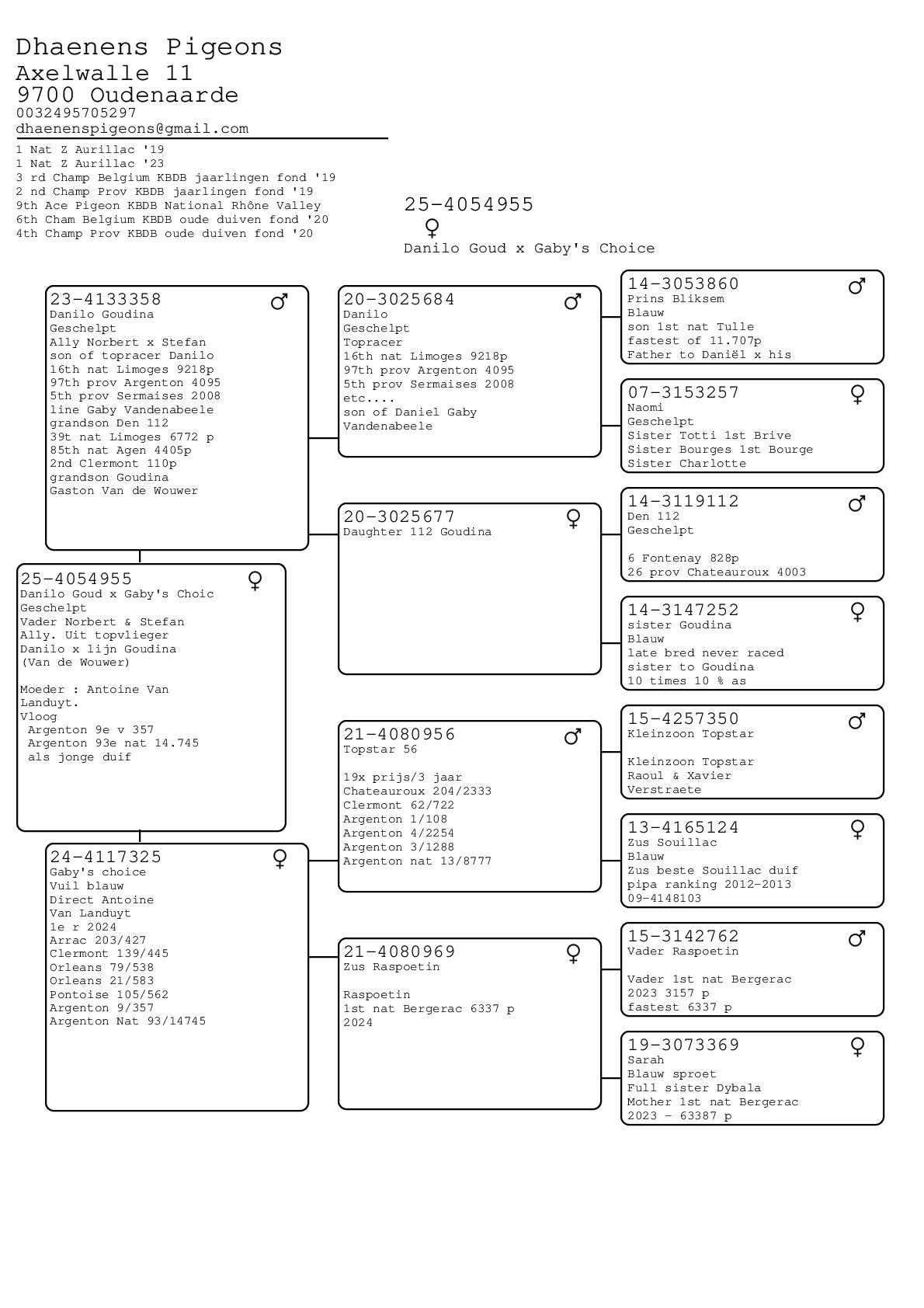 Pedigree DHAENENS PIGEONS &gt; HEURNE