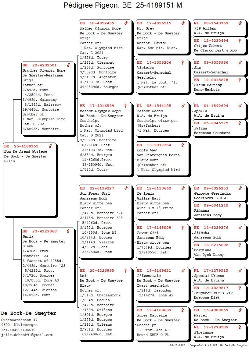 Pedigree DE BOCK - DE SMEYTER &gt; BERCHEM (OVL)