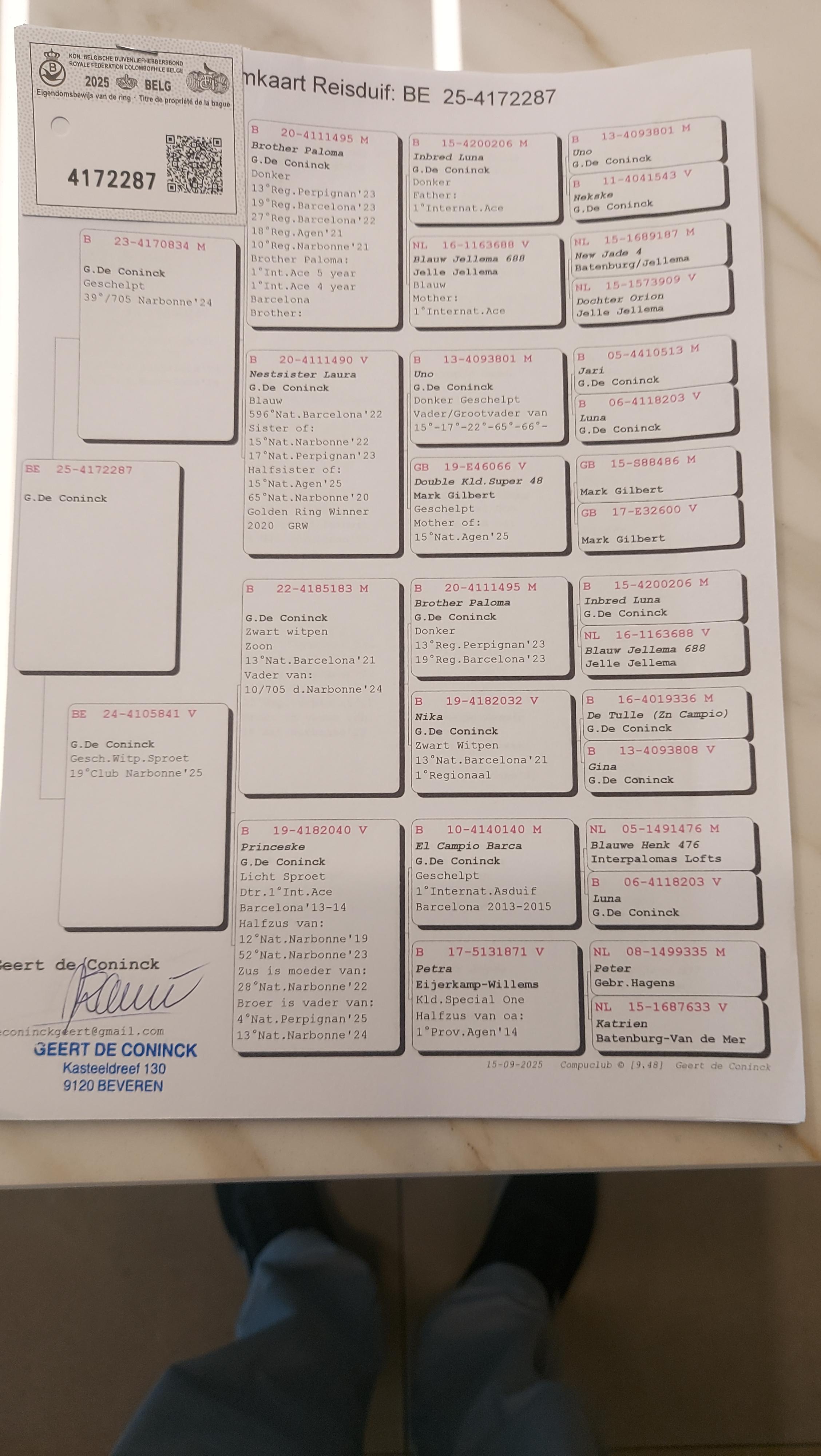 Pedigree DE CONINCK GEERT &gt; BEVEREN-WAAS