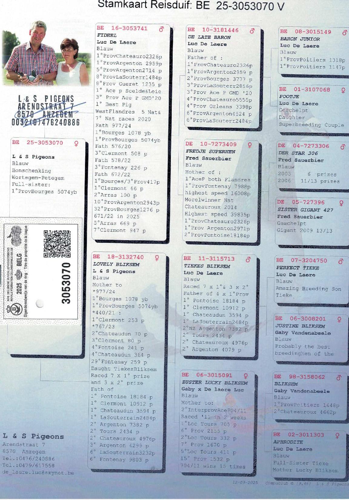 Pedigree DE LAERE LUC &gt; ANZEGEM