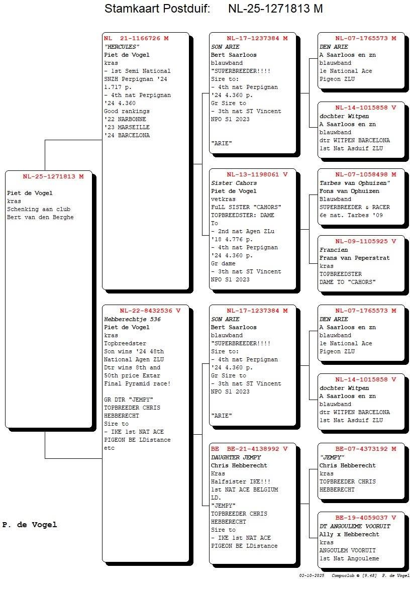 Pedigree DE VOGEL PIET &gt; OUDE TONGE (NL)