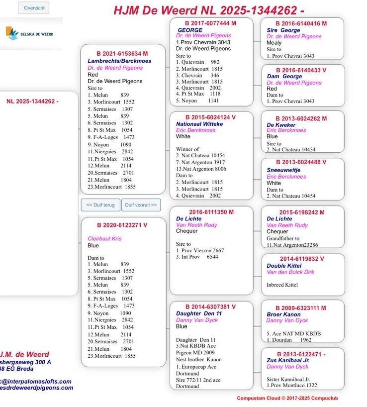 Pedigree DE WEERD HENK &gt; BREDA (NL)