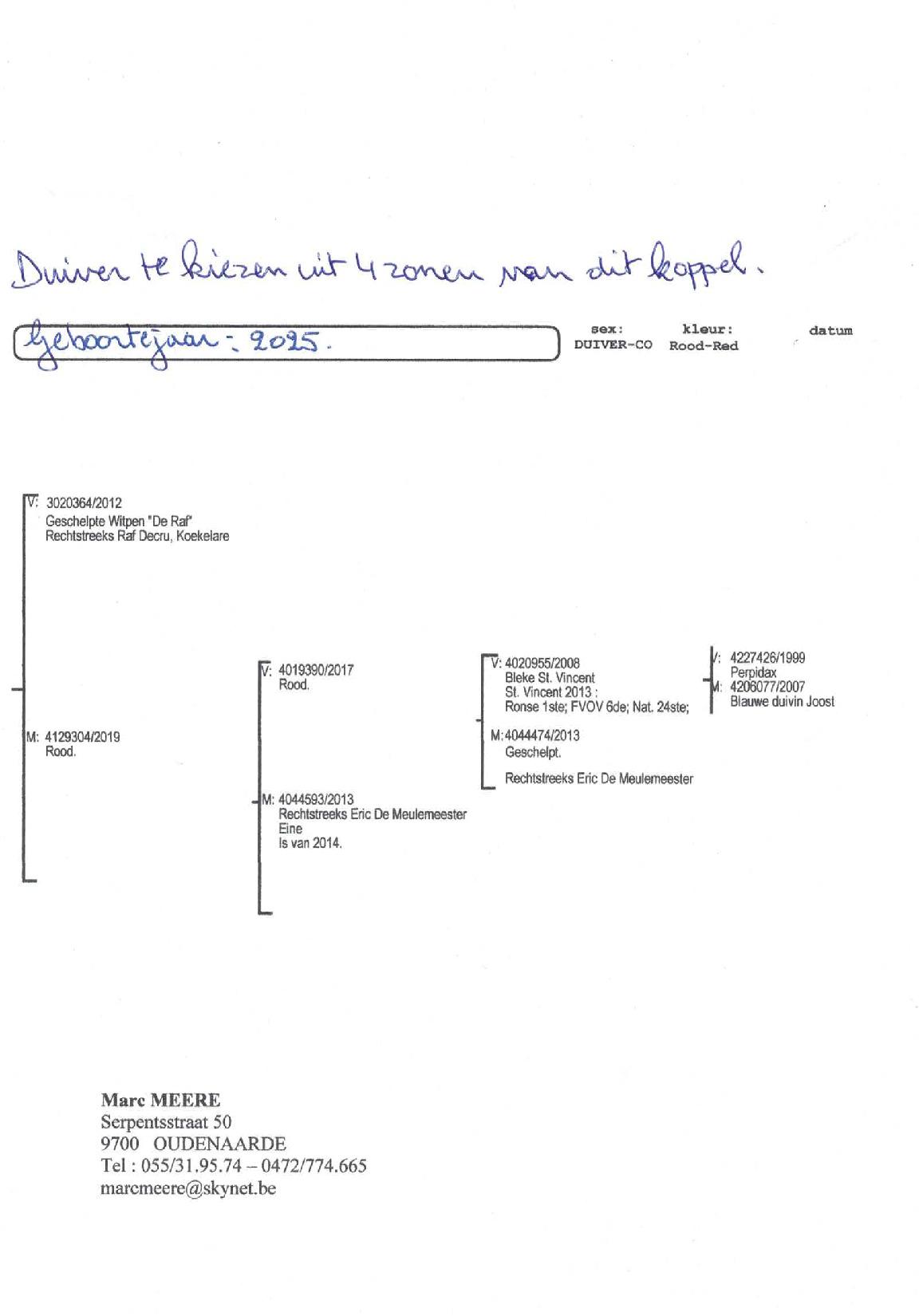 Pedigree MEERE MARC &gt; EINE