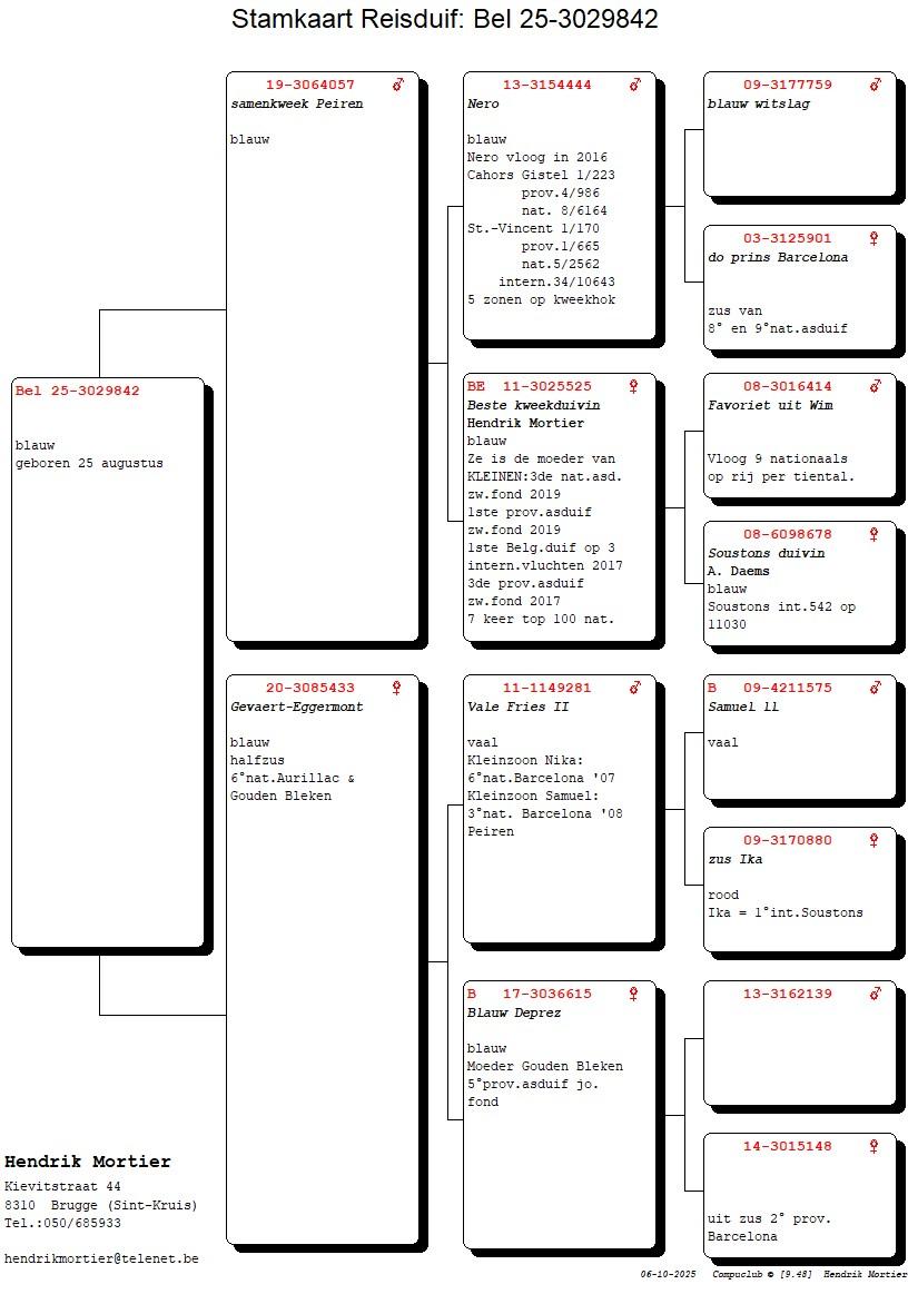 Pedigree MORTIER HENDRIK &gt; ST-KRUIS BRUGGE