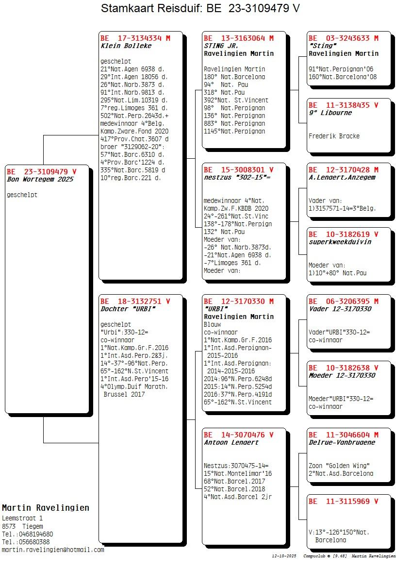 Pedigree RAVELINGIEN MARTIN &gt; TIEGEM