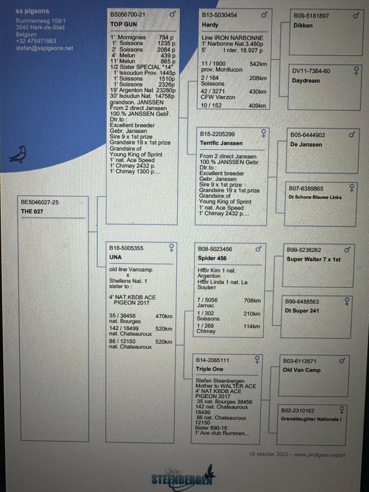 Pedigree STEENBERGEN STEFAN &gt; HERK-DE-STAD