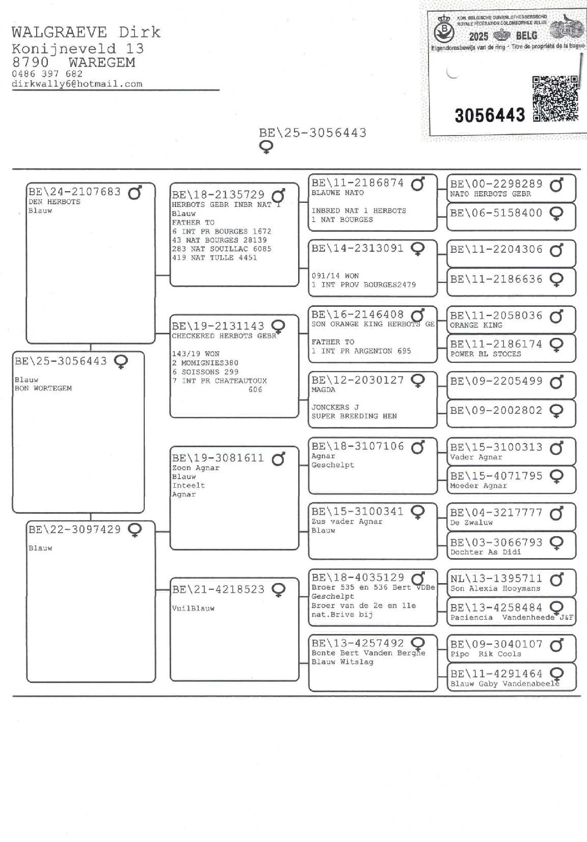Pedigree WALGRAEVE DIRK &gt; WAREGEM