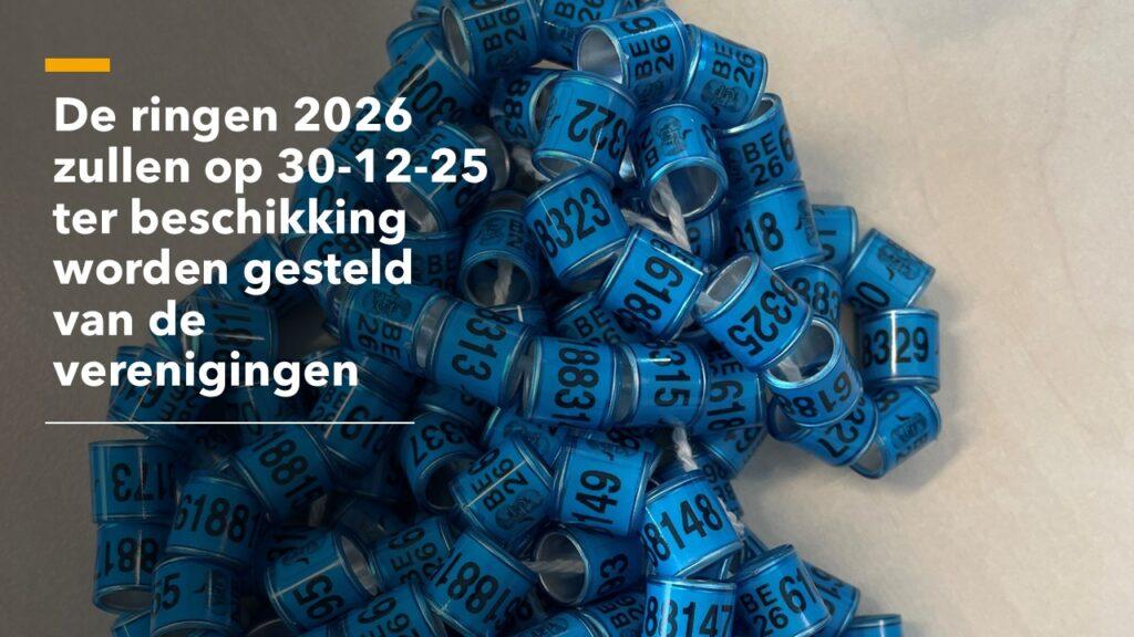 ringen-2026-NL