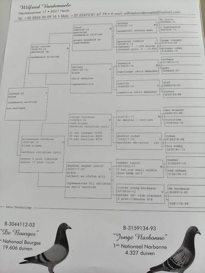 Pedigree VANDEMAELE WILFRIED &gt; HEULE