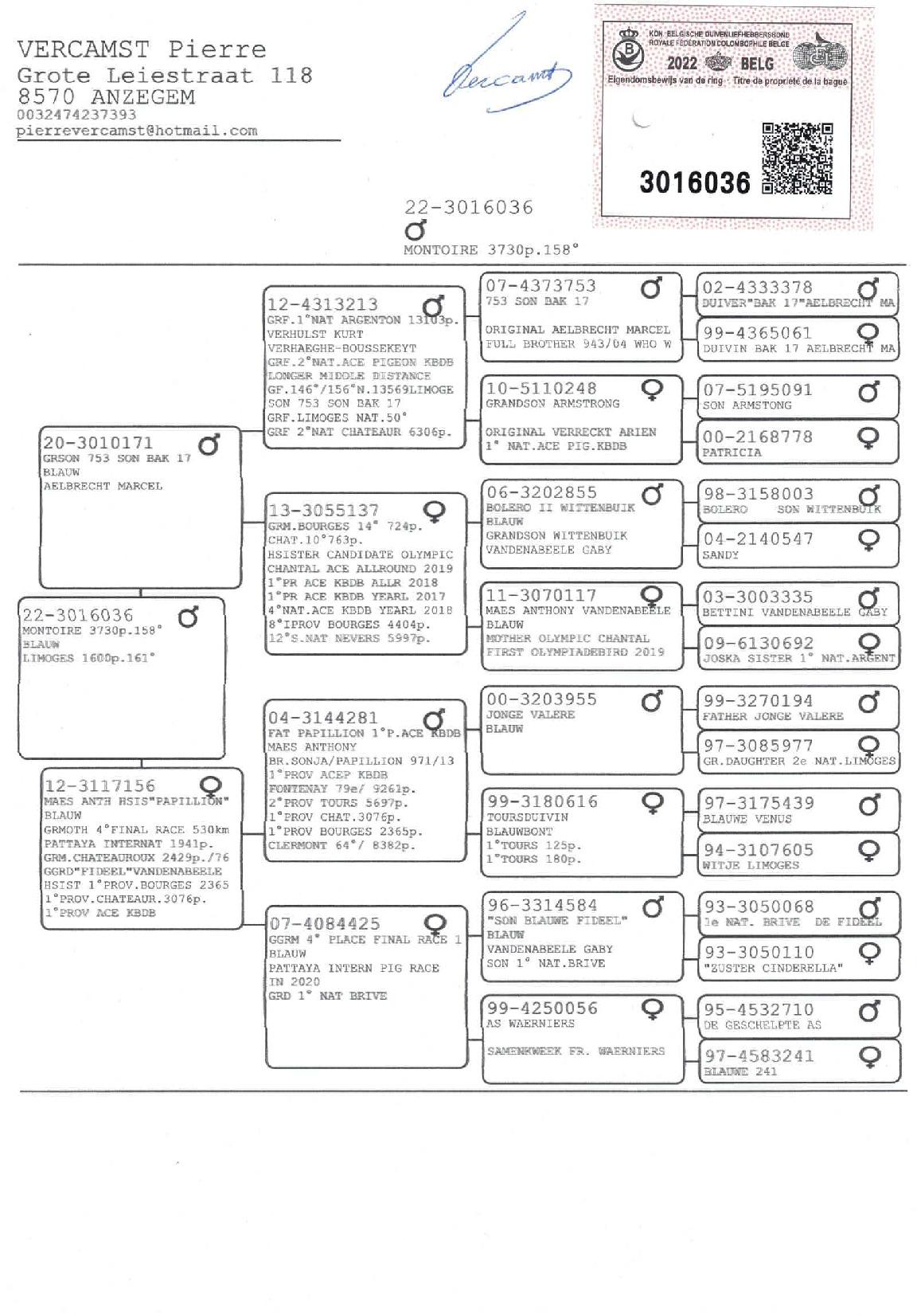 Pedigree VERCAMST PIERRE &gt; ANZEGEM