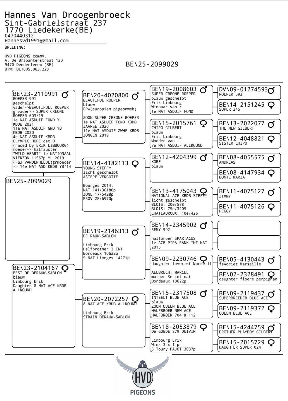 BE25-029 -pedigree (1 juli)