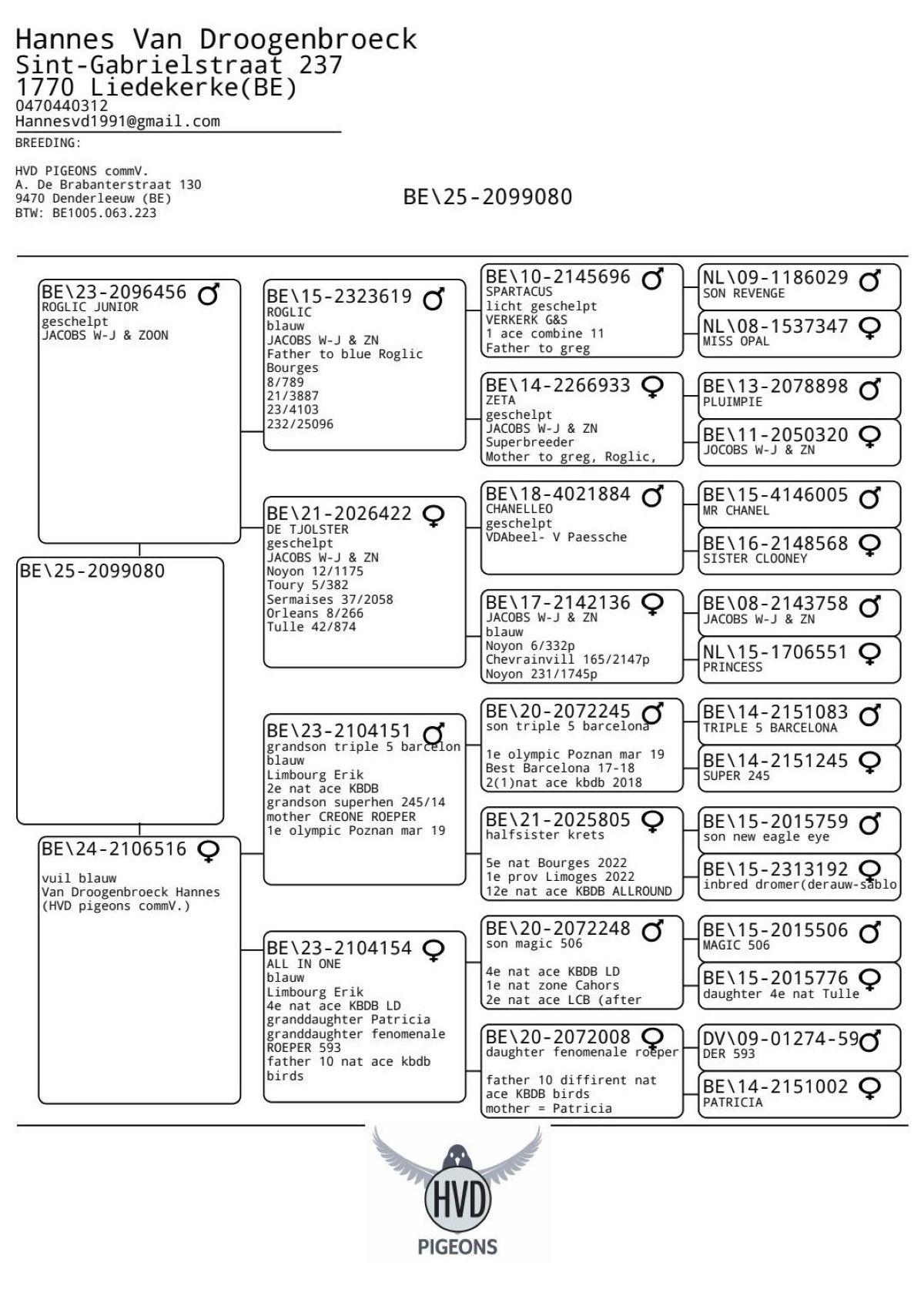 BE25-080 -pedigree (16 juni)